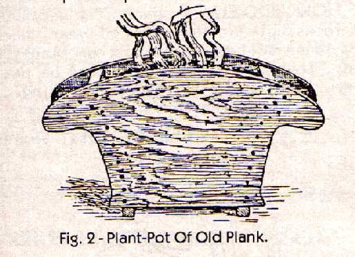Plant-Pot Of Old Plank