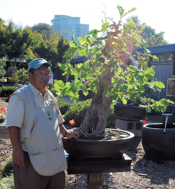 Restyled Daimyo Oak with Master Yasuo Mitsuya in September 2009