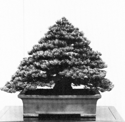 Formal Pine Kokufu award, 58th Kokufu Ten, 1984