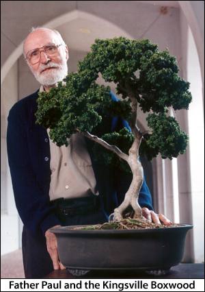Fr. Paul and the Kingsville Boxwood
