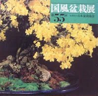Kokufu No. 55 Album Cover, 1981