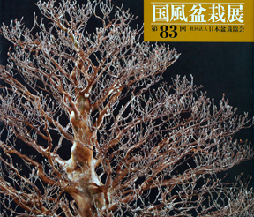 Kokufu No. 83 Album Cover, 2009