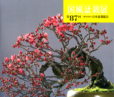 Kokufu No. 87 Album Cover, 2013