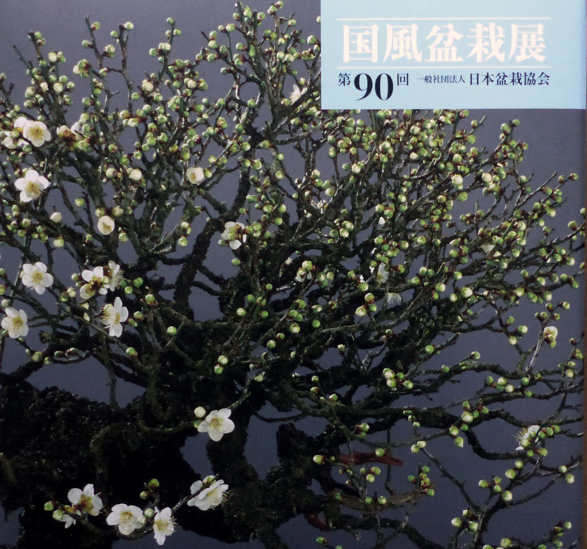 Kokufu No. 90 Album Cover, 2016