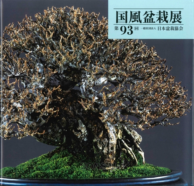 Kokufu No. 93 Album Cover, 2019
