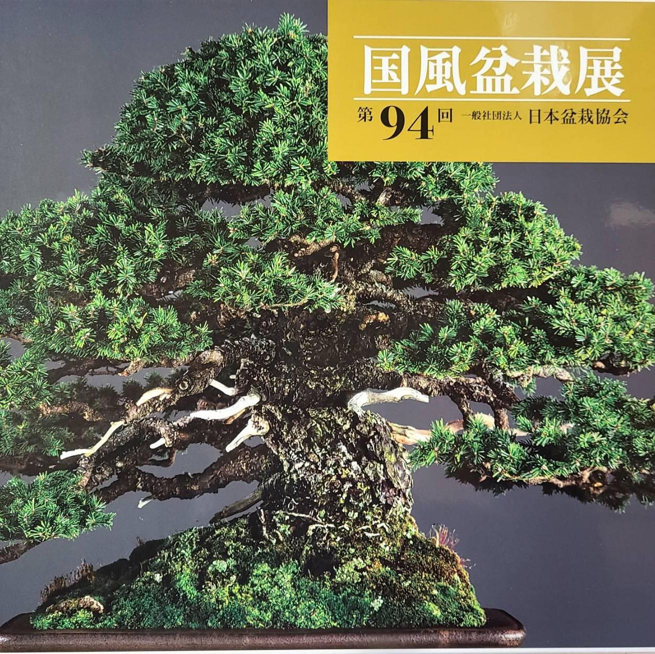 Kokufu No. 94 Album Cover, 2020