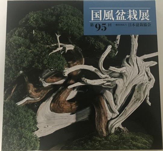 Kokufu No. 95 Album Cover, 2021