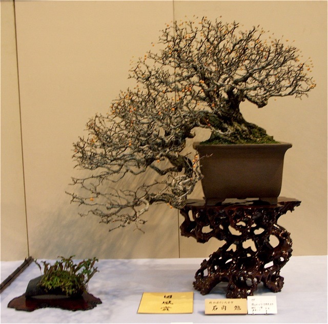 Kokufu Prize, 2005: Siebold crabapple