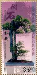 Hong Kong $5.00 Bonsai Stamp