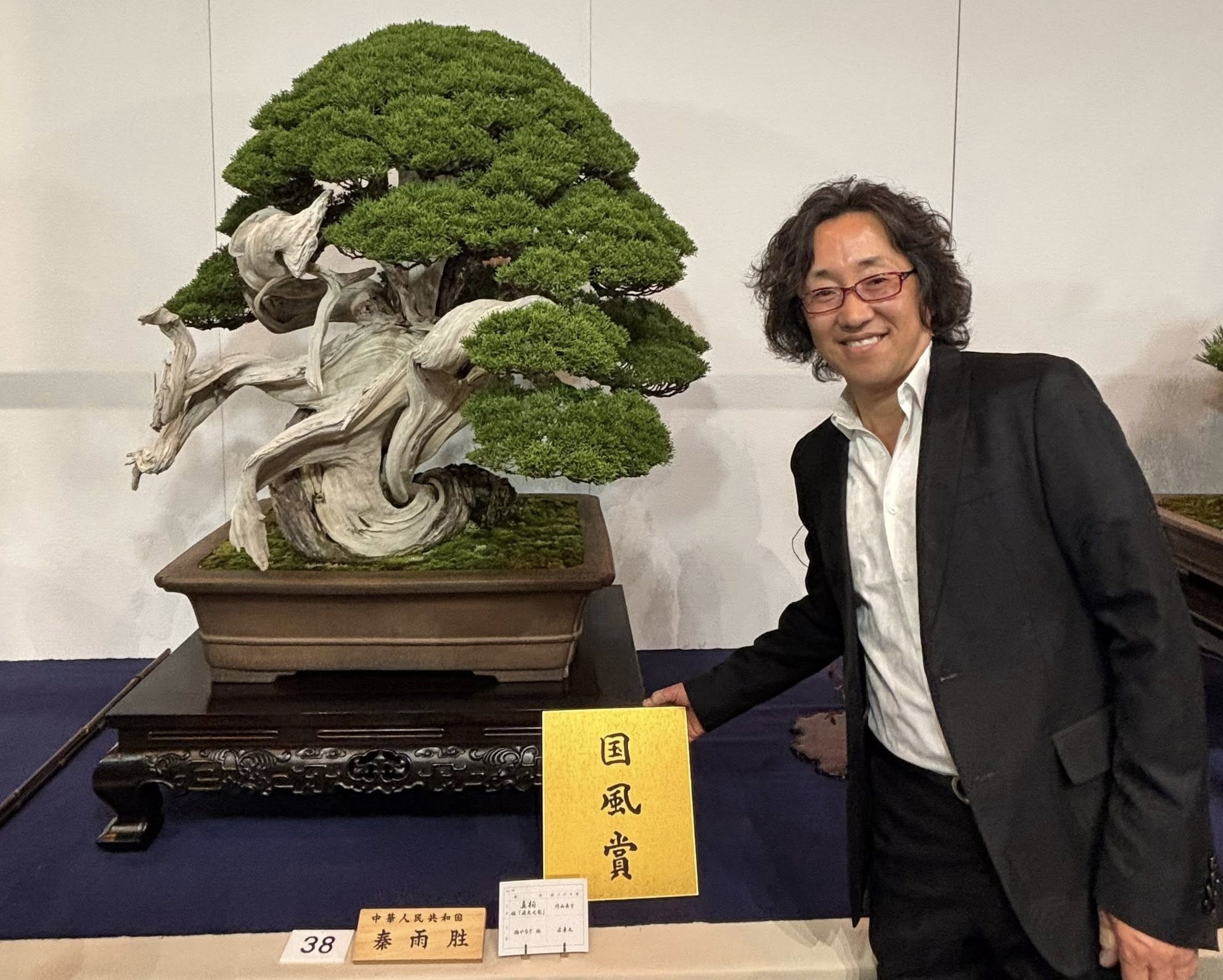 Shimpaku juniper award winner at the 100th Kokufu ten, 2026, photo by Tony Bebb