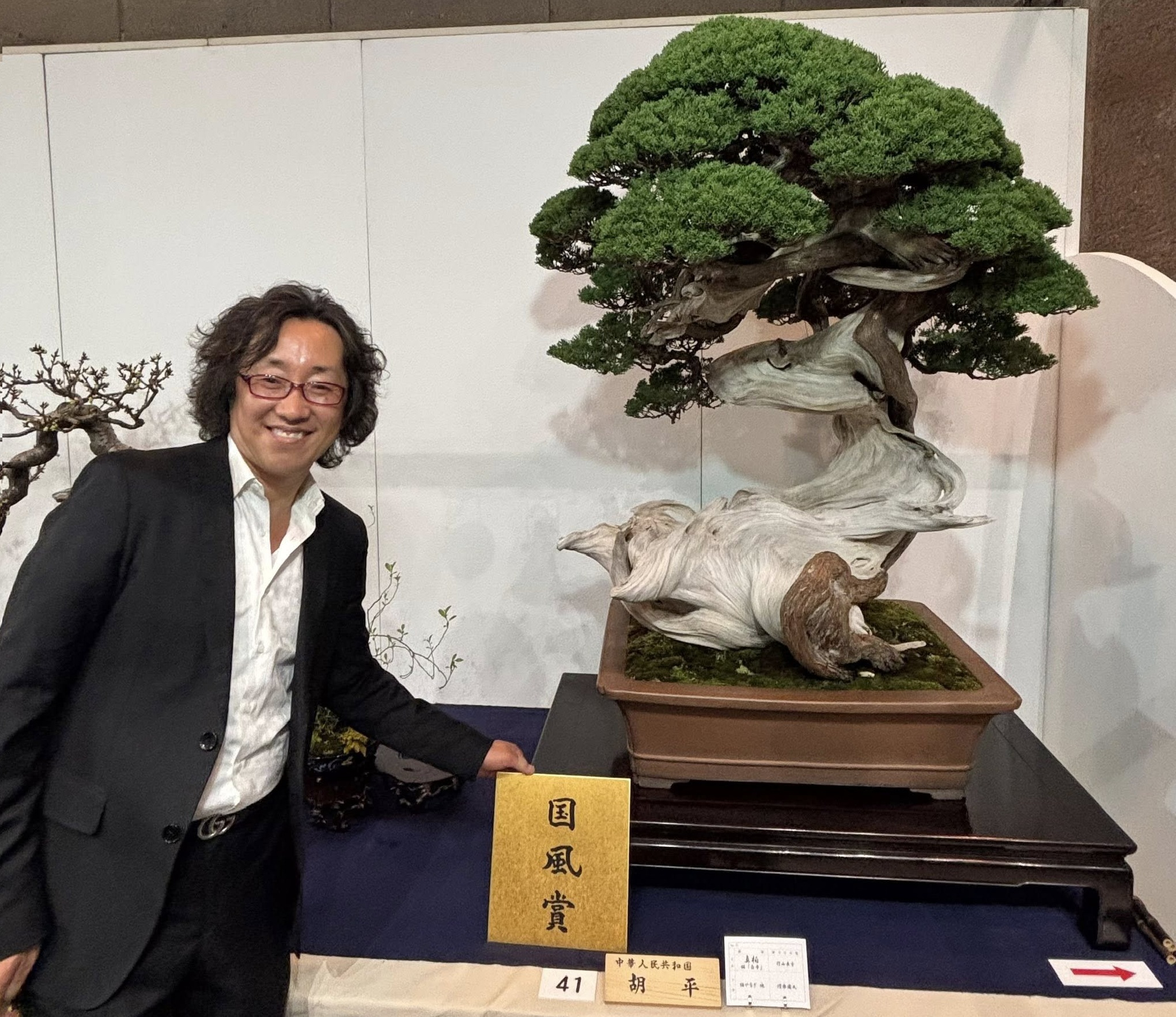 Shimpaku juniper award winner at the 100th Kokufu ten, 2026, photo by Tony Bebb