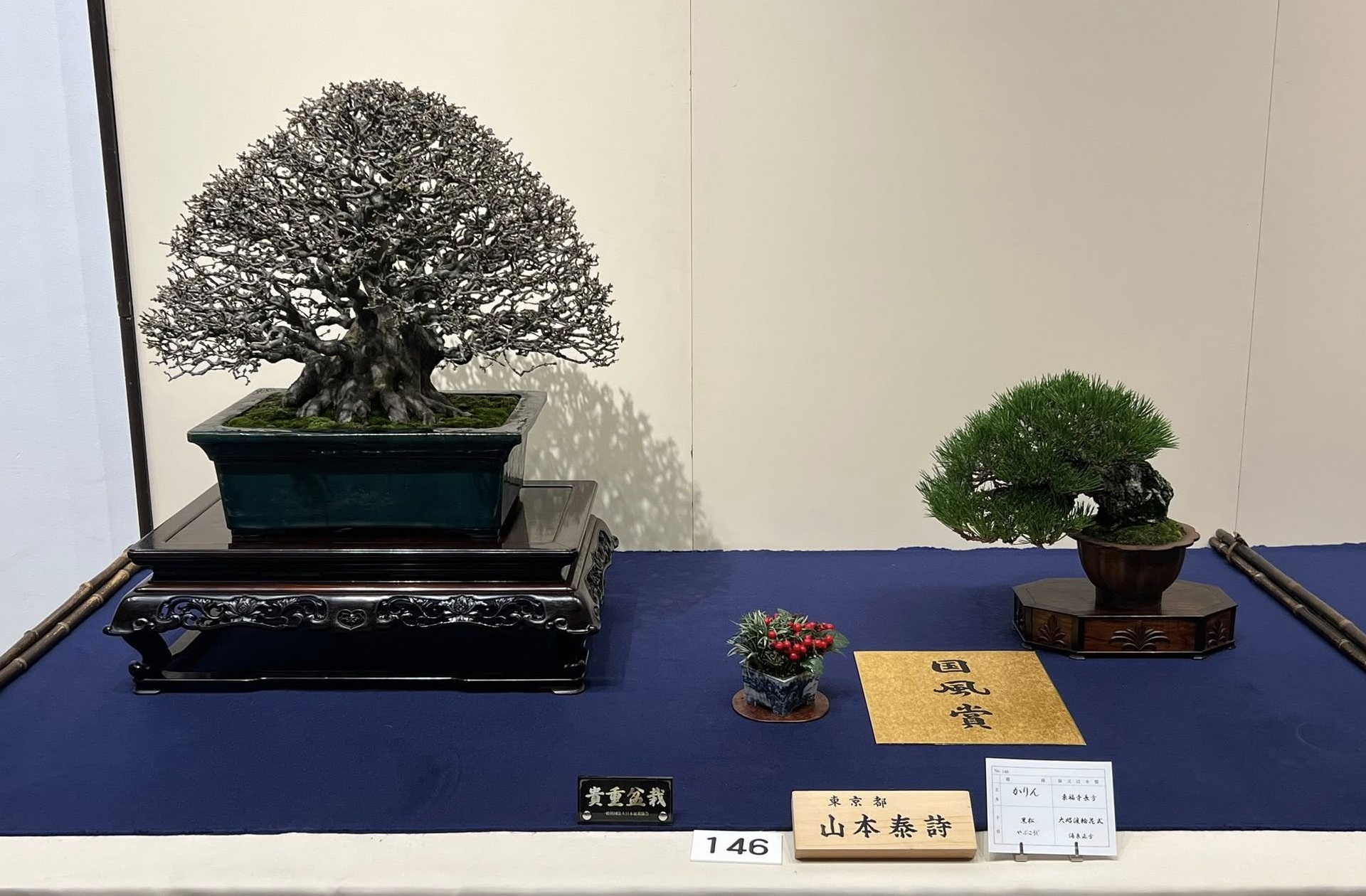 Chinese quince award winner at the 100th Kokufu ten, 2026, photo by Pedro J. Morales