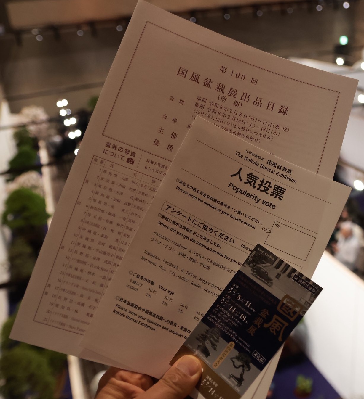 program, visitor ballot and ticket for the 100th Kokufu ten, 2026, photo by Hiroyuki Suzuki