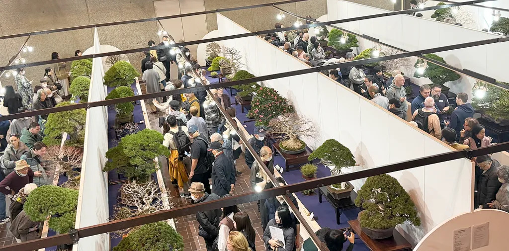 morning visitors at the 100th Kokufu ten, 2026-2, photo by William N. Valavanis